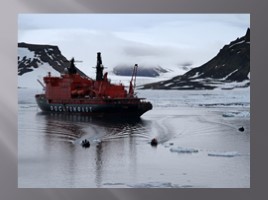 География 8 класс «Безлесные природные зоны Арктики и Субарктики», слайд 5