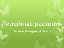 Лилейные растения (растения Волгоградской области)