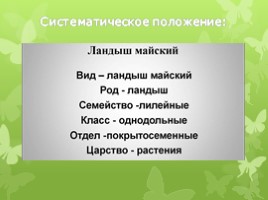 Лилейные растения (растения Волгоградской области), слайд 7