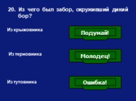 Викторина по сказке В.А. Жуковского «Спящая царевна», слайд 21