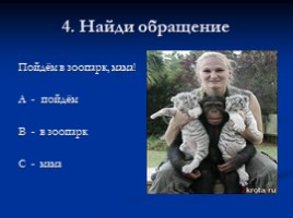 Тест по русскому языку 3 класс «Текст - Предложение - Словосочетание», слайд 6