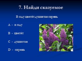 Тест по русскому языку 3 класс «Текст - Предложение - Словосочетание», слайд 9