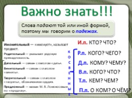 Русский языку 5 класс «Имя существительное» (2 урока повторения), слайд 11