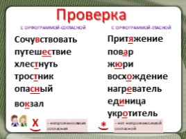 Русский языку 5 класс «Имя существительное» (2 урока повторения), слайд 3