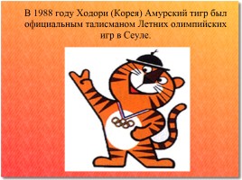 Амурский тигр - Красная книга, слайд 17