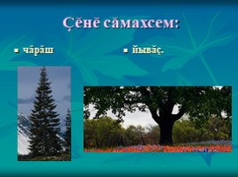 Урок чувашского языка во 2 классе «Вăрманта», слайд 4