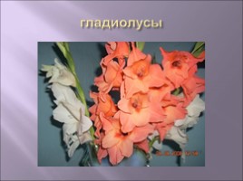 Для учителя ИЗО 1 класс «Сказочные цветы», слайд 15