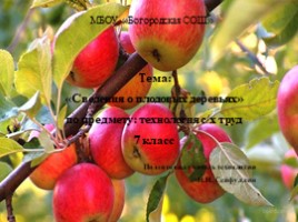 Урок по технологии 7 класс «Сведения о плодовых деревьях», слайд 1