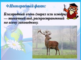 Байкало-Ленский государственный природный заповедник, слайд 9