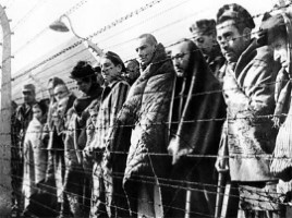 11 апреля - Международный день освобождения узников фашистских концлагерей, слайд 16