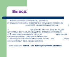 Открытый урок в 5 классе на тему «Приготовление микропрепарата кожицы чешуи лука», слайд 11