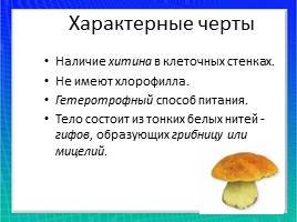 Организмы царства грибов и лишайников, слайд 12