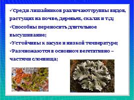 Организмы царства грибов и лишайников, слайд 35
