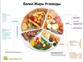 Проект по окружающему миру «Правильное питание», слайд 15