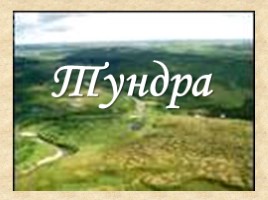 Путешествие в тундру, слайд 4