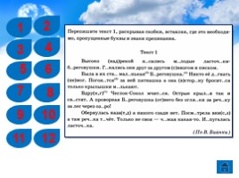 ВПР по русскому языку 5 класс 1 вариант, слайд 4