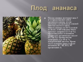 Изучение ассортимента экзотических плодов, слайд 9