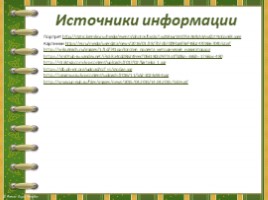 Участие в сетевых проектах как способ формирования УУД, слайд 58