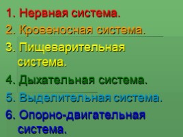 Как мы воспринимаем окружающий мир для 3 класса, слайд 6