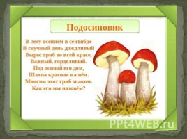 В царстве грибов" для дошкольников, слайд 7