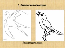 Птицы (Различие единственного и множественного числа), слайд 13