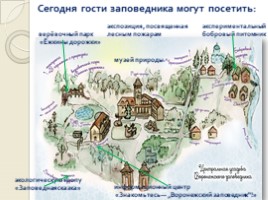 Животный мир Воронежского заповедника, слайд 16