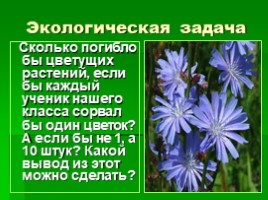 Берегите природу по окружающему миру, слайд 7