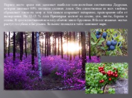 Животный и растительный мир Амурской области, слайд 7