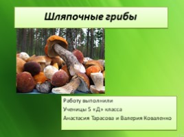 Шляпочные грибы, слайд 1