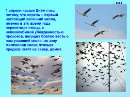 1 апреля «День птиц», слайд 7