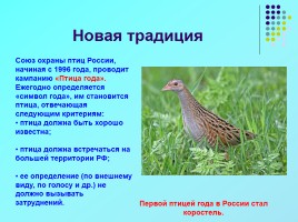 1 апреля «День птиц», слайд 8