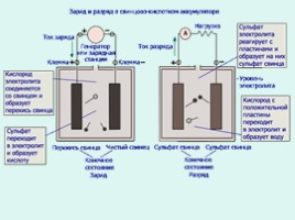 Аккумулятор с контролирующими заданиями для профессии "Машинист лесозаготовительных и трелевочных машин", слайд 5