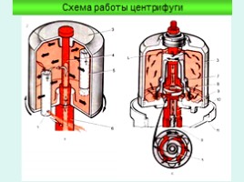 Система смазки для профессии "машинист лесозаготовительных и трелевочных машин", слайд 12