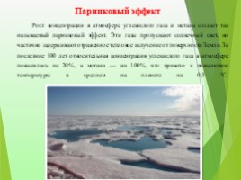 Экологические проблемы современности «Красноборская средняя школа», слайд 6