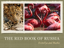 The Red Book of Russia, слайд 1