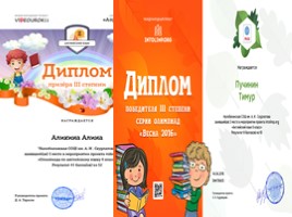 Межнациональное взаимодействие в Алтайском крае через организацию внеурочной деятельности в общеобразовательных учреждениях, слайд 22
