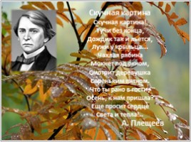 Родная природа в стихах русских поэтов, слайд 17