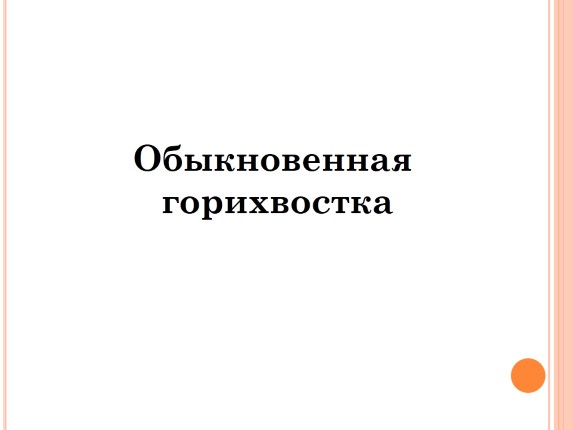 Обыкновенная горихвостка