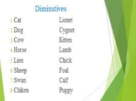 Животные (5 класс открытый урок), слайд 4