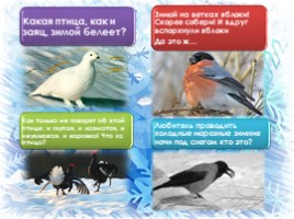Птицы - наши друзья (познавательная игра), слайд 3