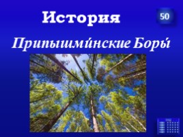 Заповедники Урала (7 класс), слайд 18