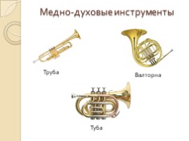 Музыкальные инструменты (НОД), слайд 8