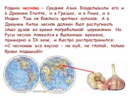 Откуда овощи в Россию пришли?, слайд 4