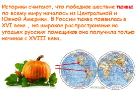 Откуда овощи в Россию пришли?, слайд 8