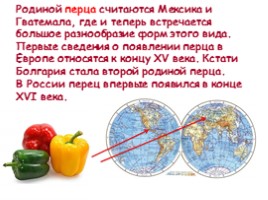 Откуда овощи в Россию пришли?, слайд 9