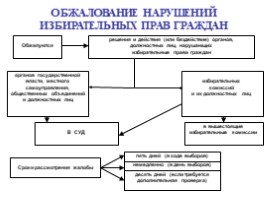 Избирательное право в Российской Федерации, слайд 12
