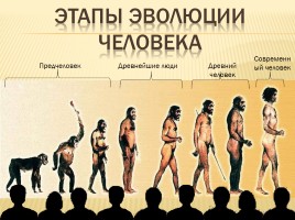 От обезьяны к человеку, слайд 16