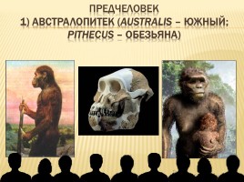 От обезьяны к человеку, слайд 5