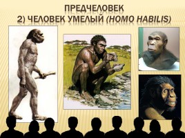 От обезьяны к человеку, слайд 6