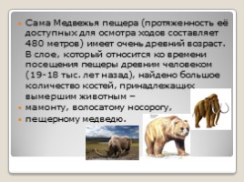 История заселения Коми края в древности (6 класс), слайд 6